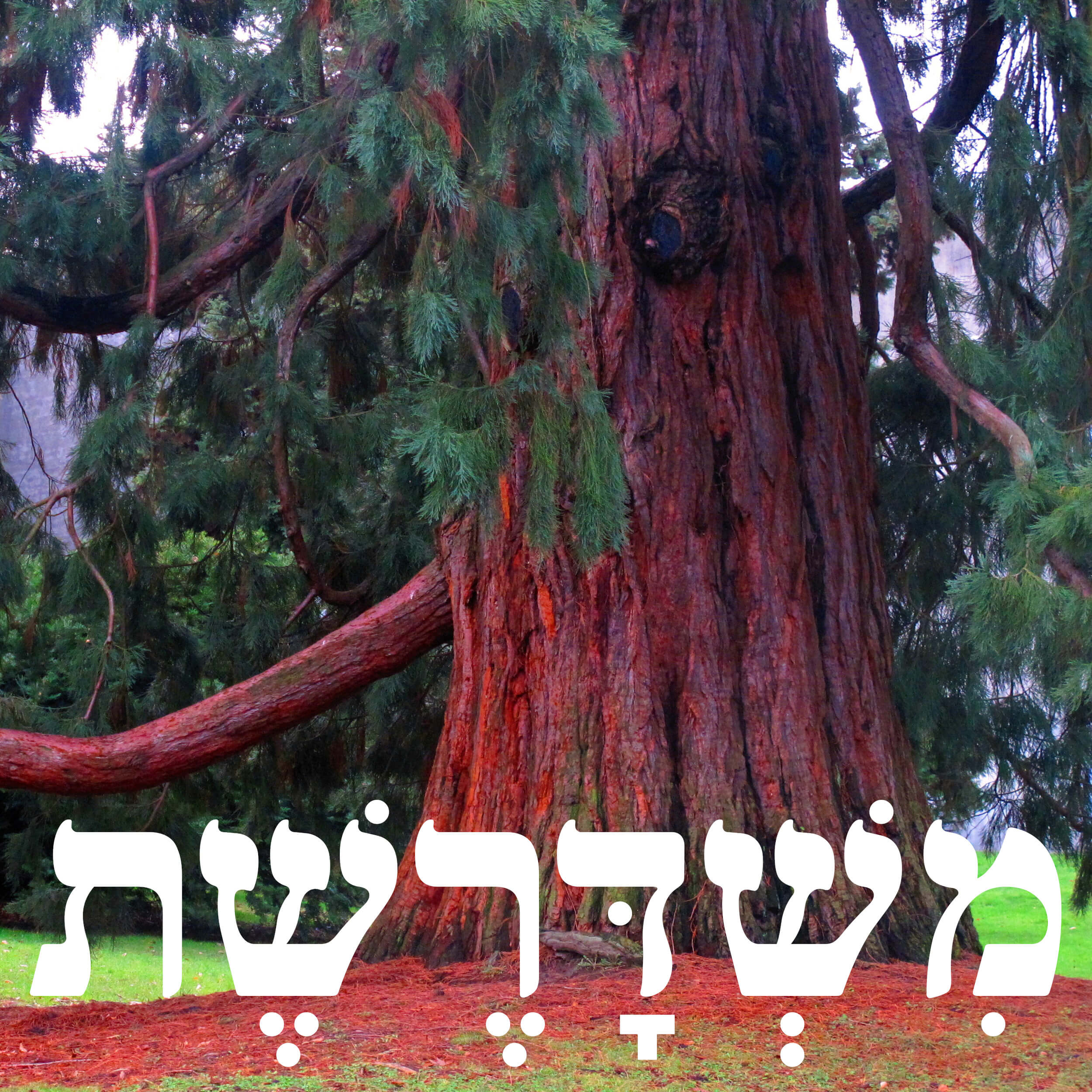 106: עשרא חוקיא episode artwork