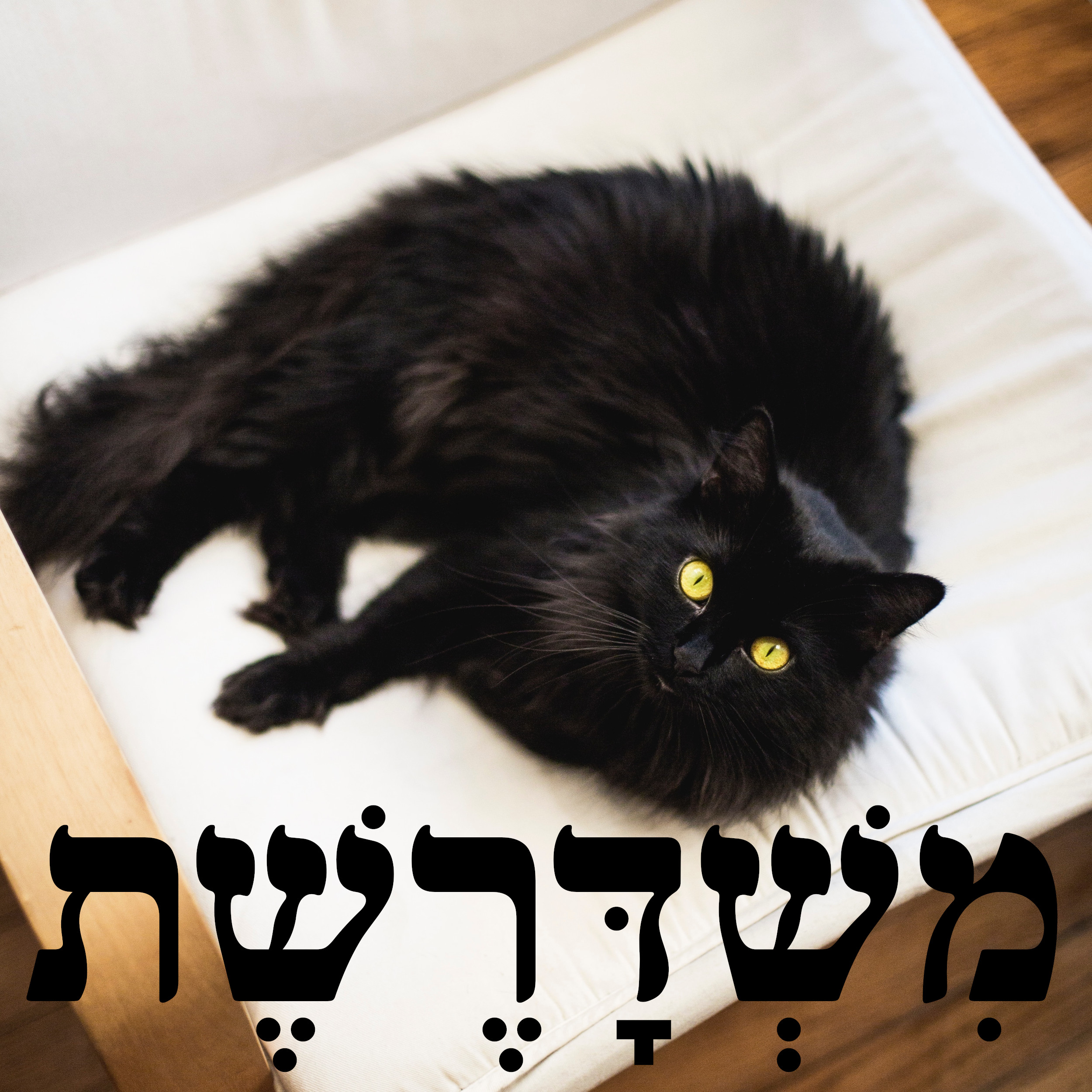 124: בלי מלח episode artwork