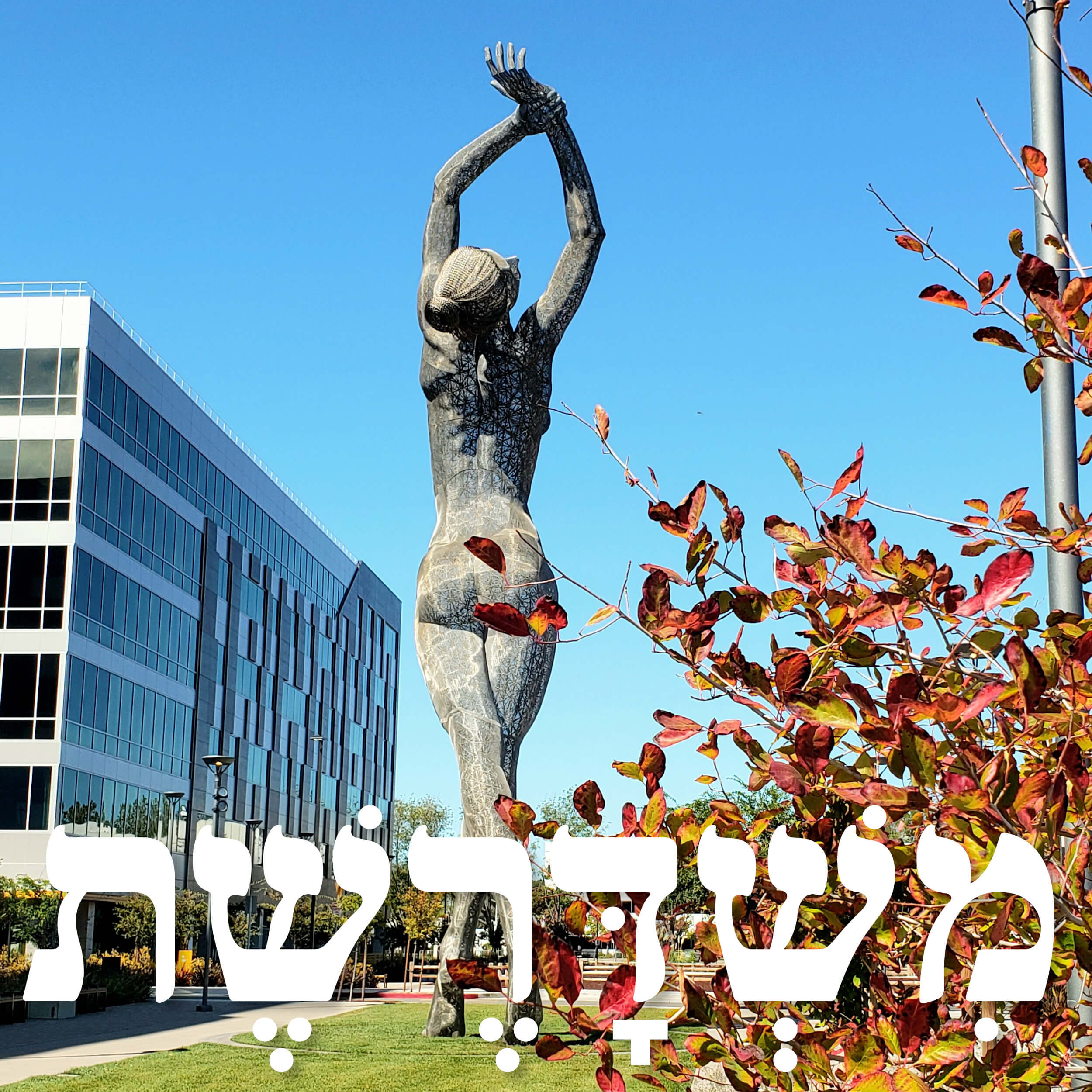 142: טל ברגמן episode artwork