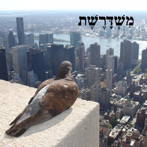 23: זכותי! episode artwork