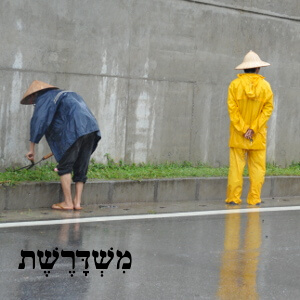 45: שברו את הכללים episode artwork