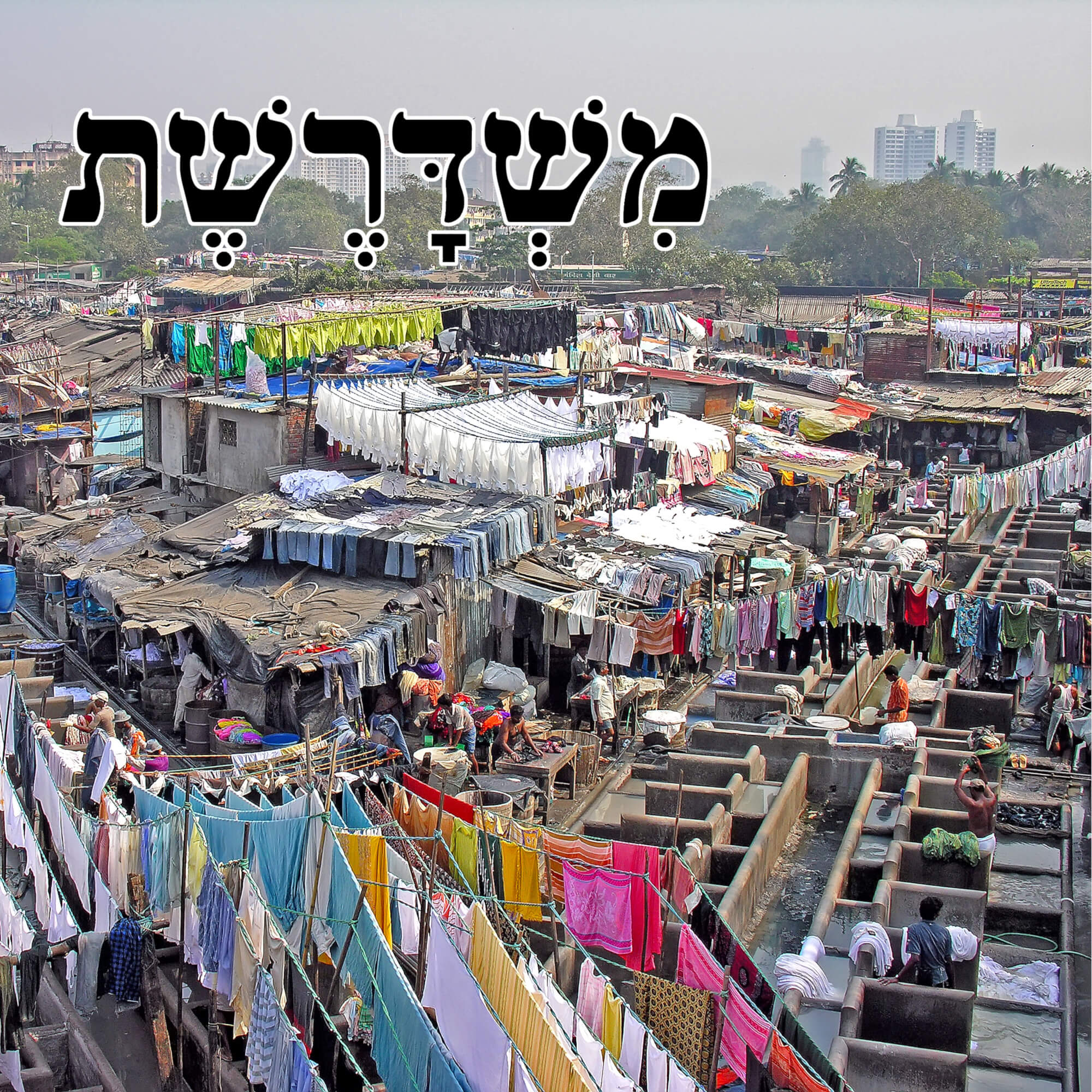 משדרשת
